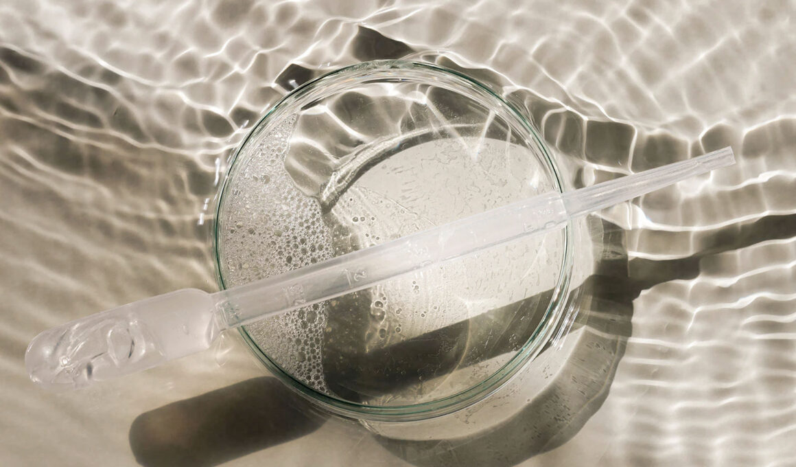 Natürliche Kosmetik und die Umwelt: Die Macht der Inhaltsstoffe