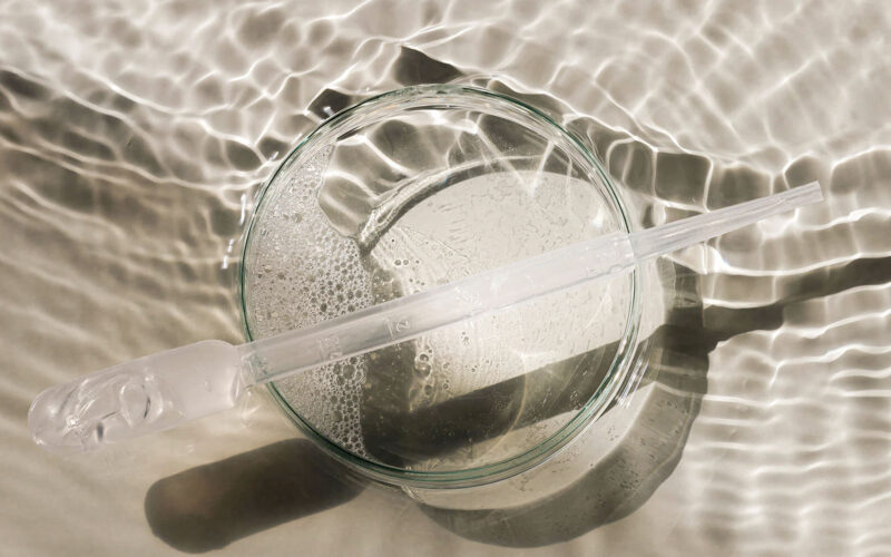 Natürliche Kosmetik und die Umwelt: Die Macht der Inhaltsstoffe