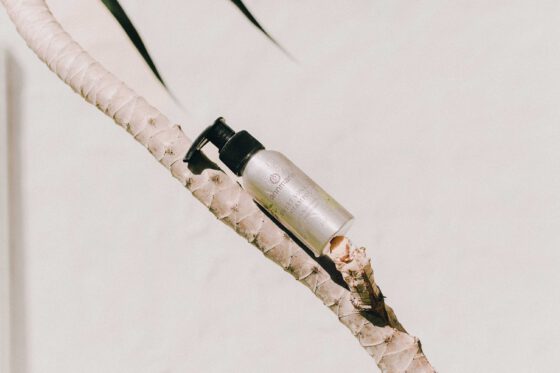Die Zukunft der Naturkosmetik: Nachhaltige Trends und Innovationen