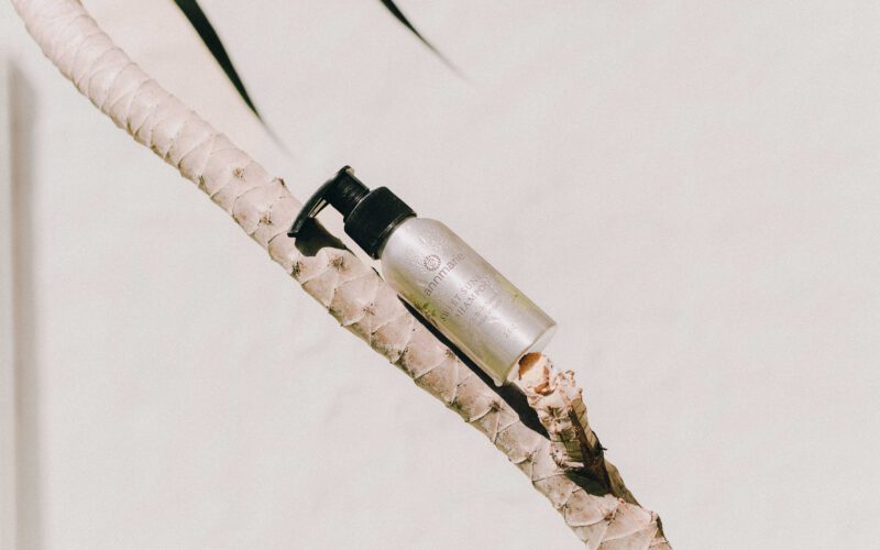 Die Zukunft der Naturkosmetik: Nachhaltige Trends und Innovationen